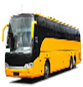 Intracity Bus